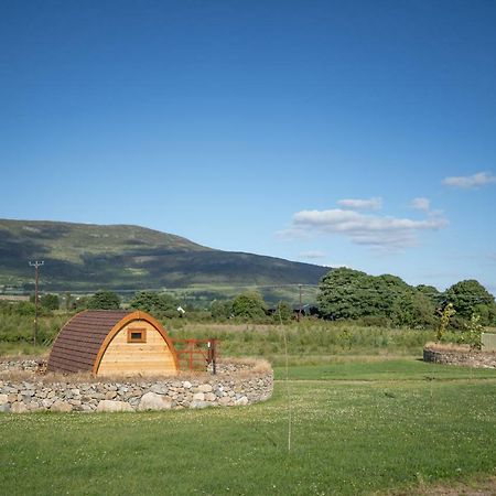 فندق نيوريفي  Bluebell Lane Glamping المظهر الخارجي الصورة
