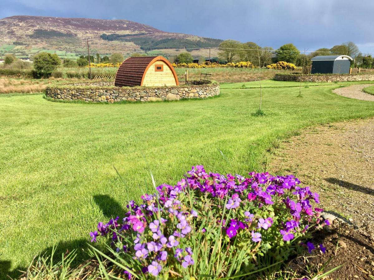 فندق نيوريفي  Bluebell Lane Glamping المظهر الخارجي الصورة