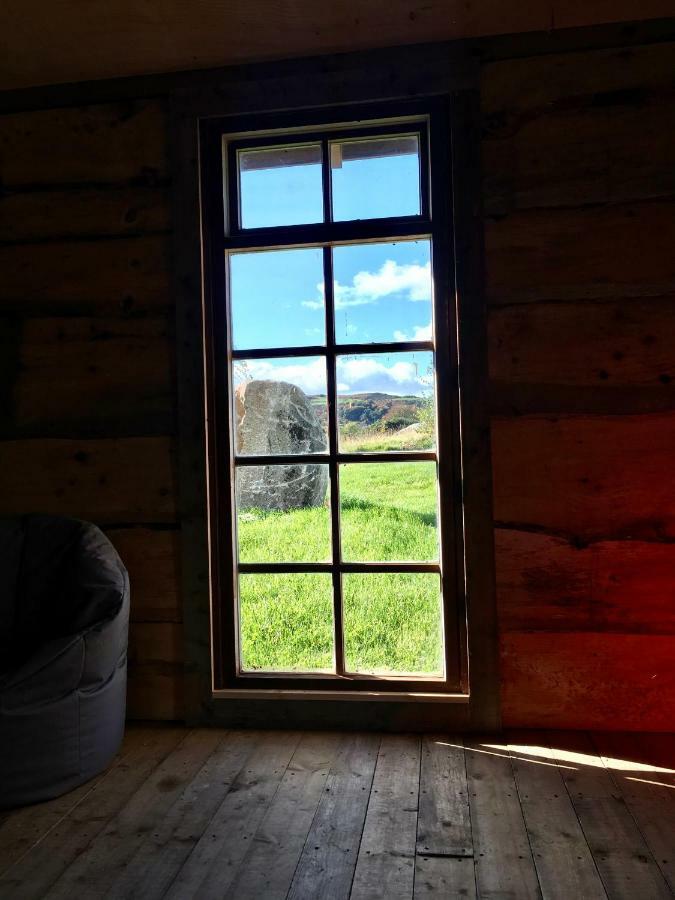 فندق نيوريفي  Bluebell Lane Glamping المظهر الخارجي الصورة