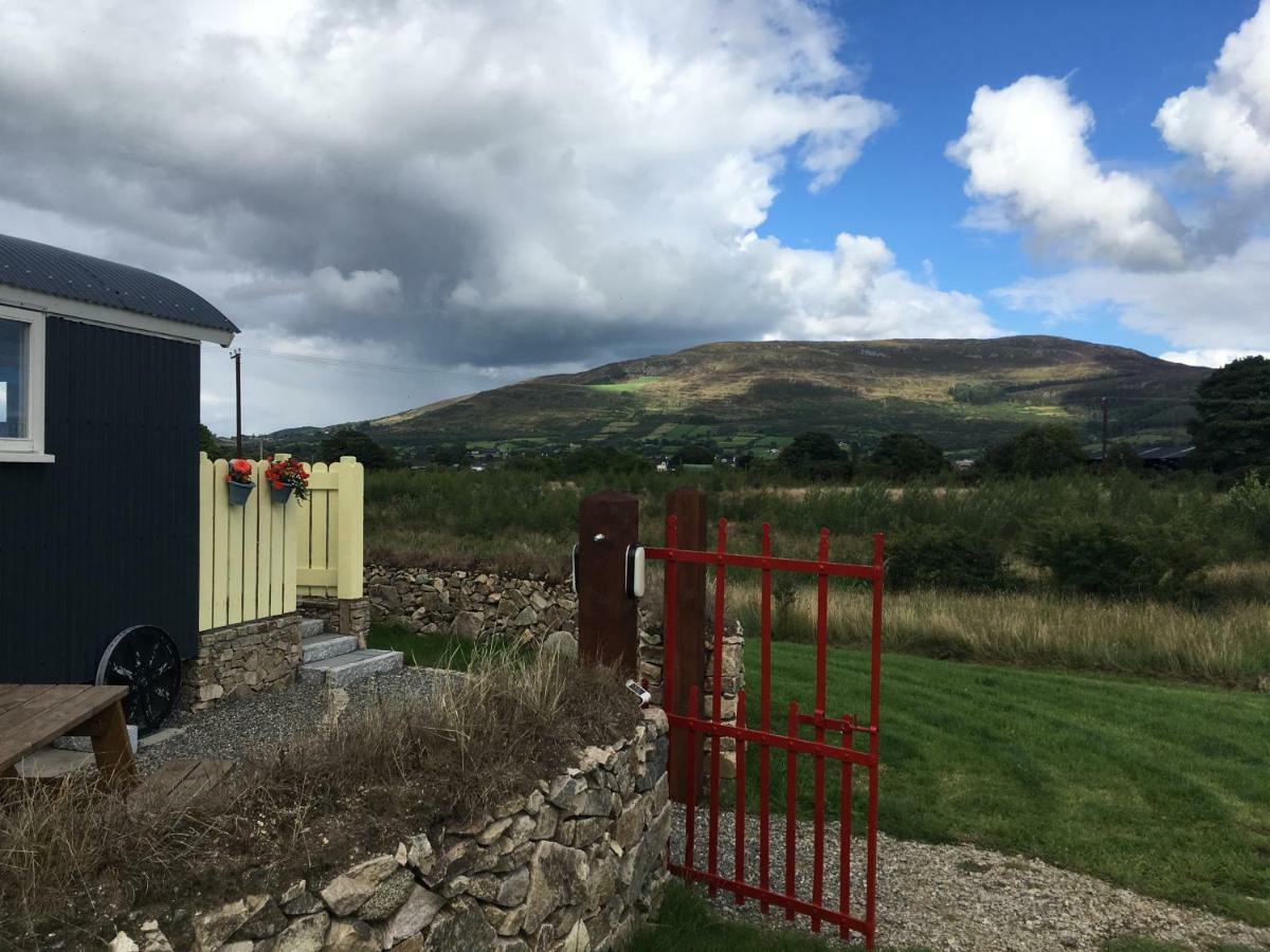 فندق نيوريفي  Bluebell Lane Glamping المظهر الخارجي الصورة