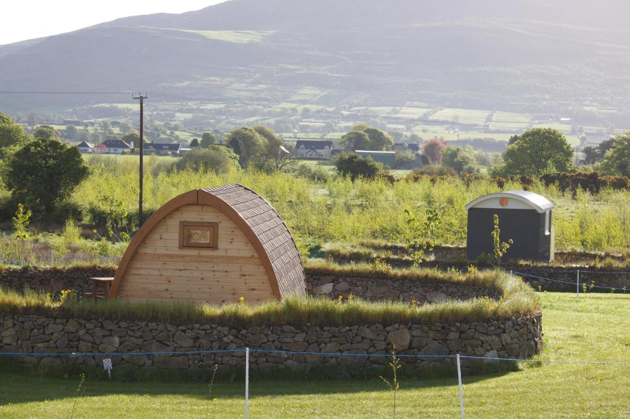 فندق نيوريفي  Bluebell Lane Glamping المظهر الخارجي الصورة