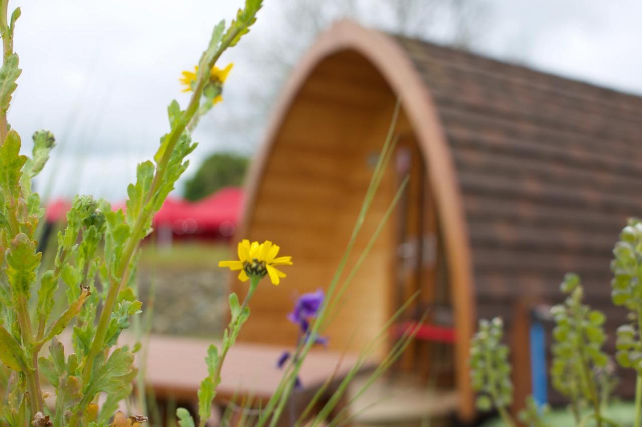 فندق نيوريفي  Bluebell Lane Glamping المظهر الخارجي الصورة